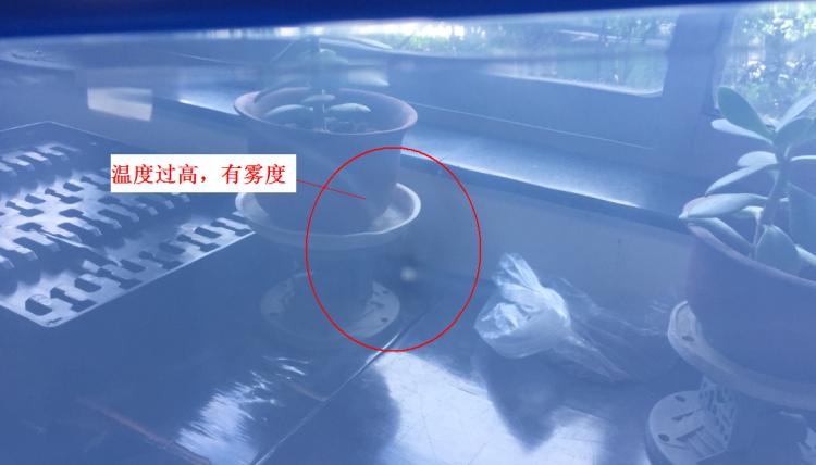 注塑制品質量缺陷分析（六）造成制品表面有霧度的主要原因是什么？